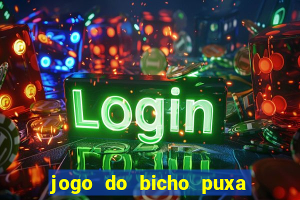 jogo do bicho puxa de dona maria